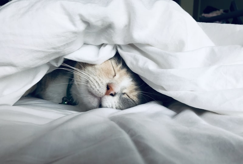 Sleep Debt Is Real — Here's How to Pay It Back